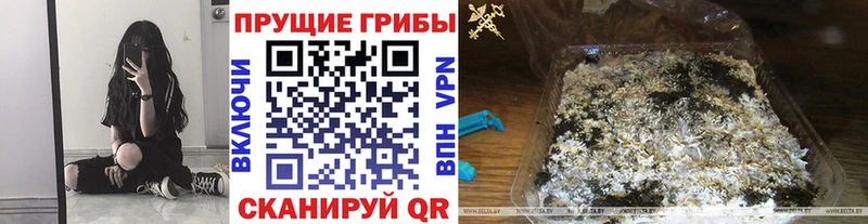Псилоцибиновые грибы прущие грибы Ростов-на-Дону